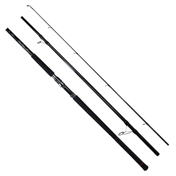 Amazon | ダイワ(DAIWA) アキアジロッド シルバークリーク AK